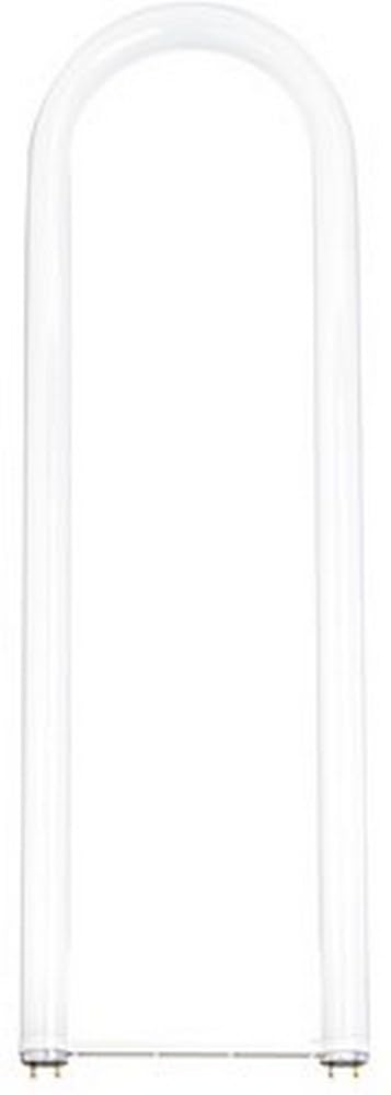 LEDVANCE 32-Watt 2 ft. U-Bent T8 Fluorescent Tube Light Bulb, Warm White Color Temperature, 1 Pack