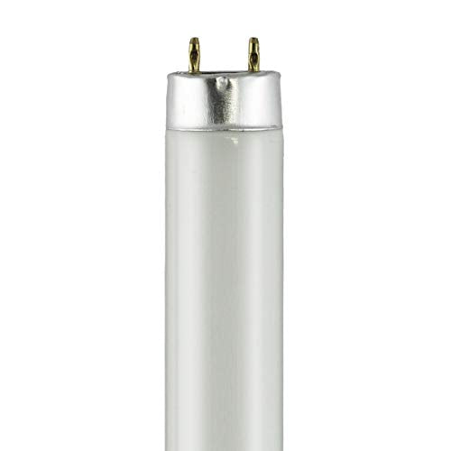 Norman Lamps F25T8/865 (21719) Daylight 6500K - Watts: 25W, Type: T8 Fluorescent Tube, Color