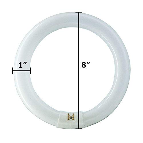 Sylvania 20148 - FC8T9/CW TUFFCOAT SYLVANIA BRAND Circular T9 Fluorescent Tube Light Bulb (8" diameter, 22 watts)