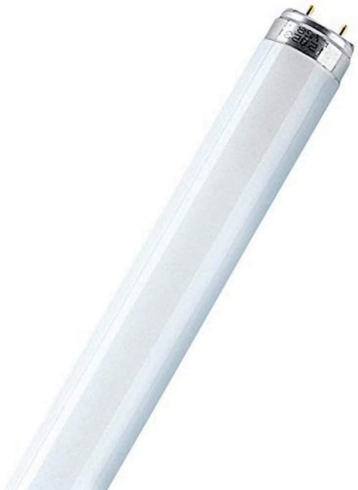 Osram 517872 - L 36W/840 Straight T8 Fluorescent Tube Light Bulb