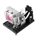 P PREMIUM POWER PRODUCTS NP04LP-OEM Replacement Projector Lamp for NEC NP04LP