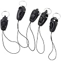 10Pcs Black Nylon Lanyard Straps, Short Lanyards Detachable Buckle Pendant Buckle Mobile Phone Accessories for Mobile Phone Lariat USB Drive Keys DIY
