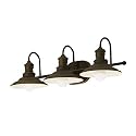Hainsbrook 3-Light Aged Bronze Cone Vanity Light