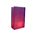 Quasimoon PaperLanternStore.com Purple Paper Luminaries/Luminary Lantern Bags Path Lighting (10 Pack)