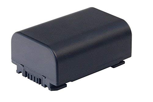 Globalsaving Battery for Sony handycam Camcorder DCR-HC62 DCR-SR200E DCR-SR210E DCR-SR220 li-ion Battery