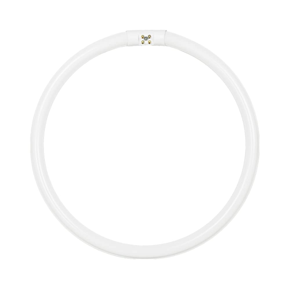 FC6T5/CW, 20 Watt, T5 Circline Fluorescent Tube, 4100K, Cool White, 6 Inch