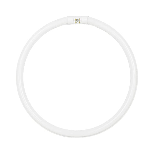 FC6T5/CW, 20 Watt, T5 Circline Fluorescent Tube, 4100K, Cool White, 6 Inch