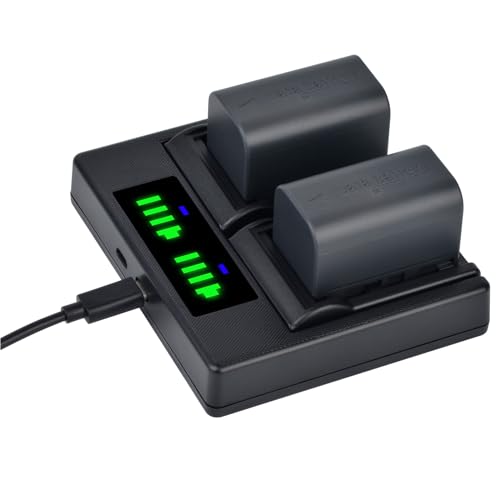 Batmax 2Pcs 2500mAh BN-VF815 Battery + Quick LED USB Charger with Type C Port for JVC BN-VF815 BN-VF815U and JVC Everio GZ-MG130 148 150 155 175 255