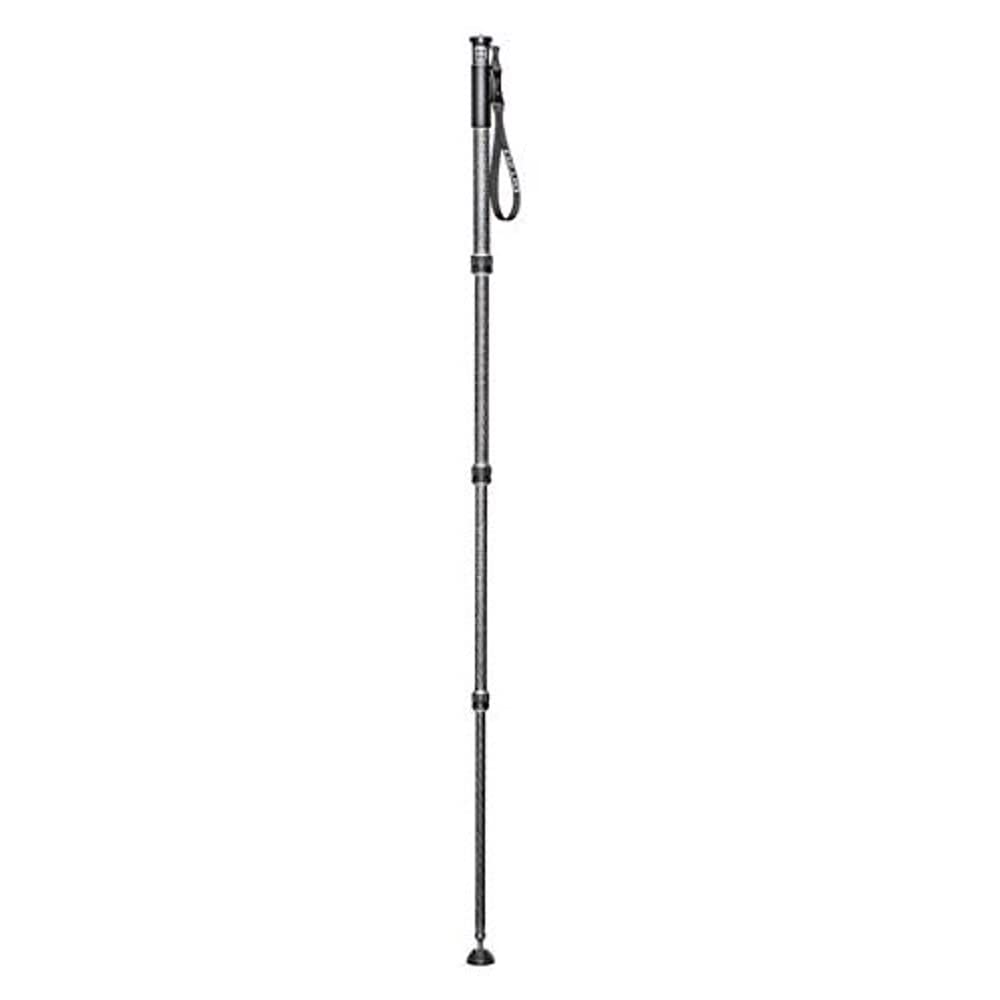 Gitzo GM2542 Traveler Professional Photography Monopod, Series 2, 4 Sections, for DSLR and Reflex Camcorders, Video Cameras, for Photographers