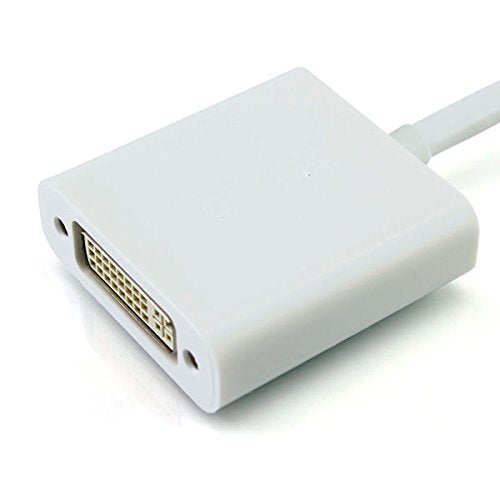 axGear MINI DISPLAYPORT to DVI Adapter Cable for Apple Mac mini PRO AIR iMac