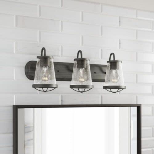 HOME DECO Home Decorators 24 in. Georgina 3-Light Steel Industrial Bathroom Vanity Light (HB2626-322)