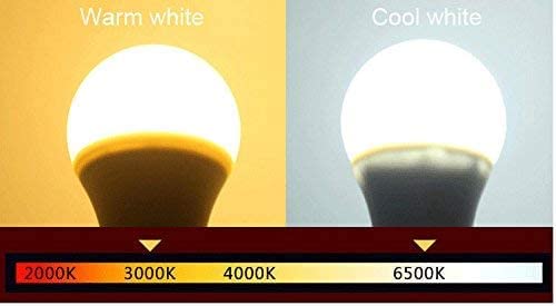 Megrezo 12V Low Voltage LED Light Bulbs - Warm White 7W E26 Standard Base 60W Equivalent - DC Bulb for RV, Solar Panel Project, Boat, Garden
