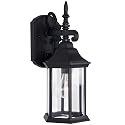 DESIGNERS FOUNTAIN Devonshire Outdoor Light Fixture, 14 Inch Exterior Wall Lantern Sconce for Front Door, Patio and Porch, Black, 2961-BK