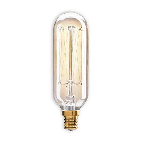 (Pack of 10) Bulbrite 132517, 40W, T8, NOSTALGIC, THREAD, E12, 120V, light bulb