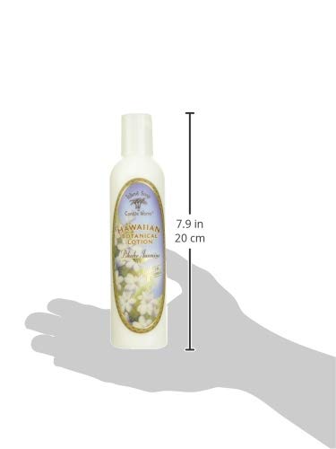 Island Soap & Candle Works Coconut Body Lotion – Hydrating Hawaiian Skincare, Paraben-Free Moisturizer for Men & Women, 8.5 fl oz