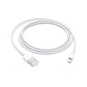 Apple Lightning to USB Cable (1 m) (MXLY2ZM/A)