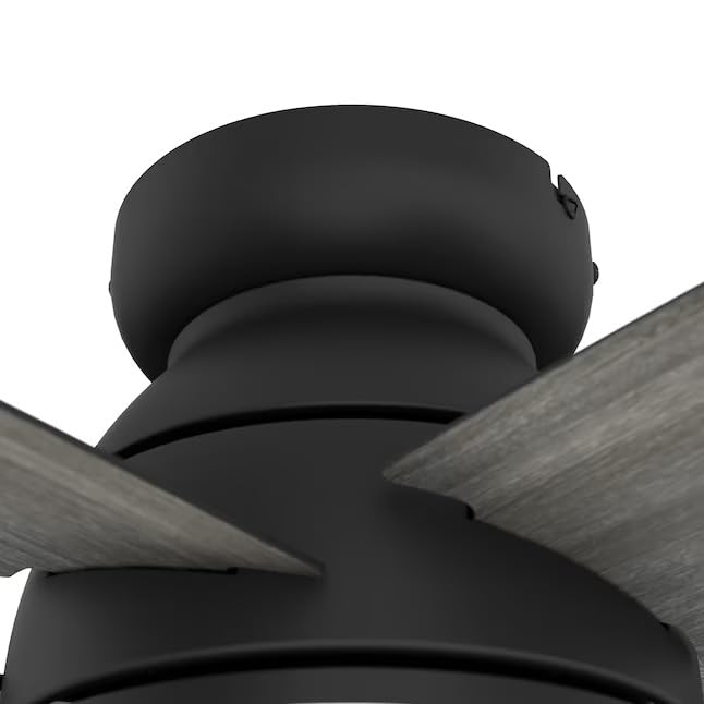 Hunter Fan 44 Inch Low Profile Matte Black Finish Indoor Ceiling Fan With LED Light Kit and Pull Chain (Renewed)