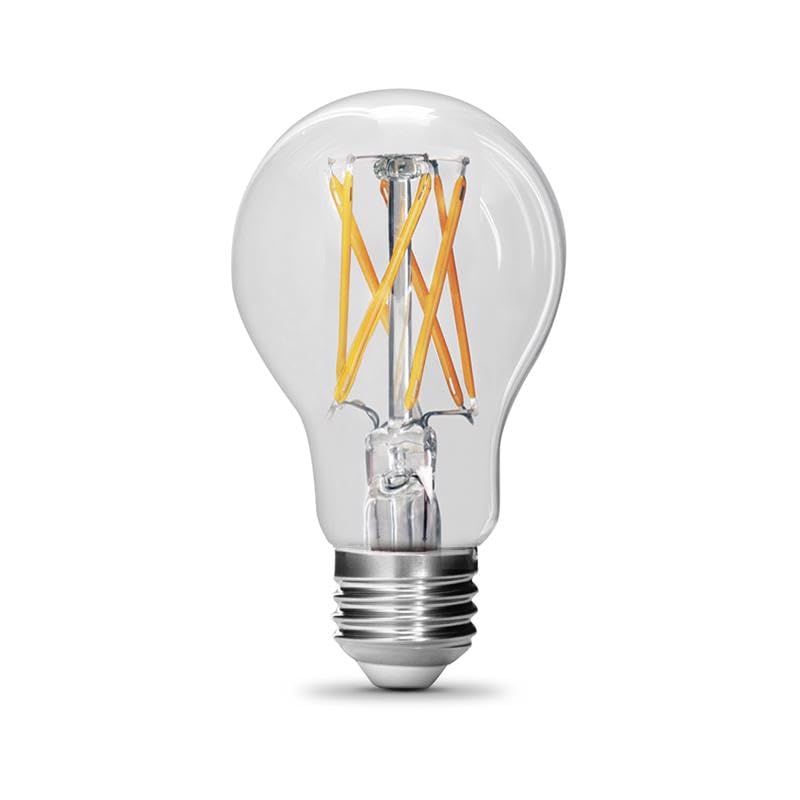 Feit A19 E26 (Medium) Filament LED Bulb Daylight 100 Watt Equivalence 2 pk