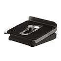 Manfrotto 384PLARCH- 14 Dove Tail Architectural RC Mounting Plate with 1/4-Inch 20 Screw