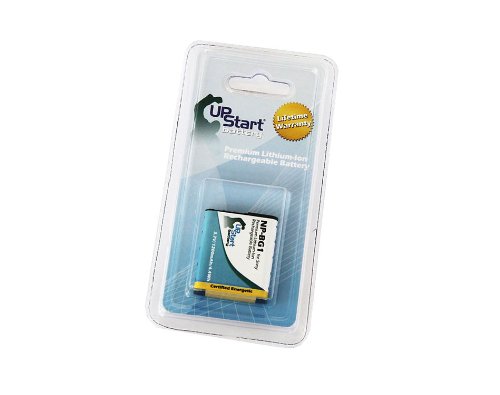 Replacement for Sony Cybershot DSC-HX20V Battery and Charger with Car Plug and EU Adapter - Compatible with Sony NP-BG1 Digital Camera Batteries