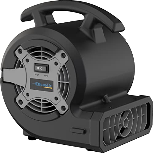 BlueDri Portable 1/8 HP Mini Multi-Purpose Air Mover Blower Utility Fan for Home, Carpet and Floor Drying, Black, BD-VP-15-BK