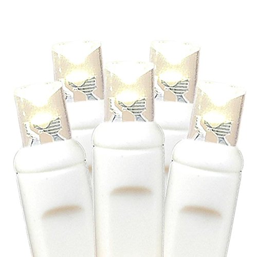 Novelty Lights 7 Feet 20 LED String Light, Warm White on White Wire