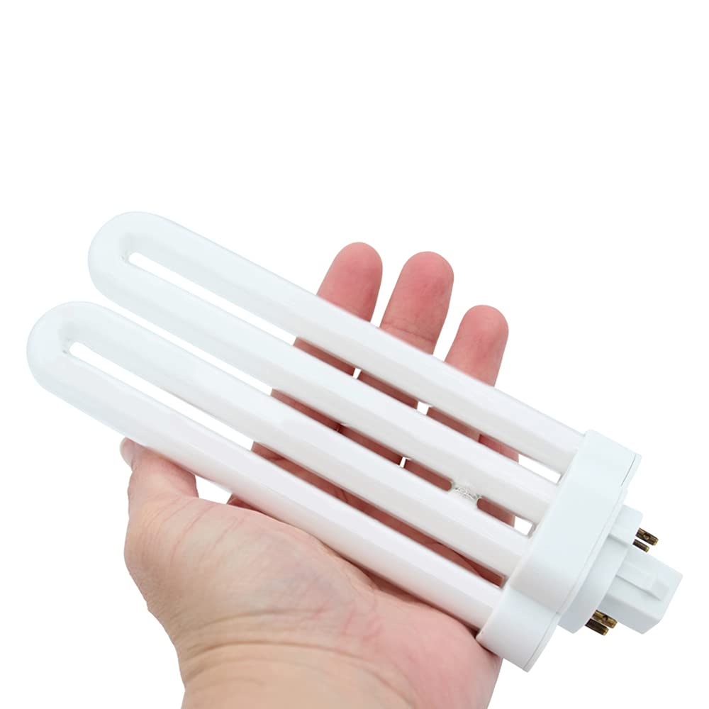 Regent Compact Fluorescent Bulb (FML26)