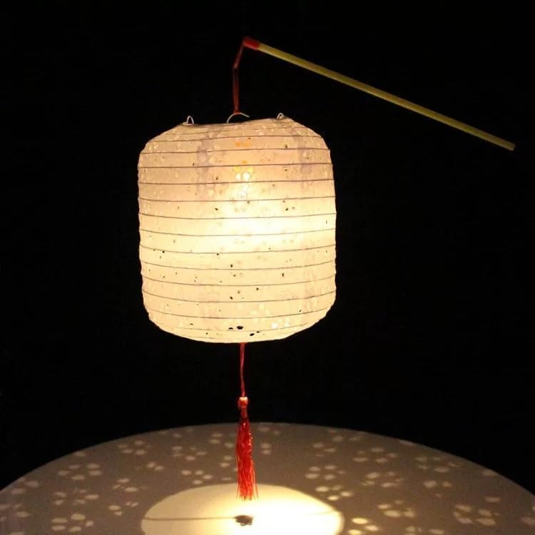 Huanyuedouer 5PCS Paper Lanterns White with LED Lights,Cute 6 Inch Lantern Colorful Hanging Paper Lanterns Lamp for Lunar New Year Spring Ceremony