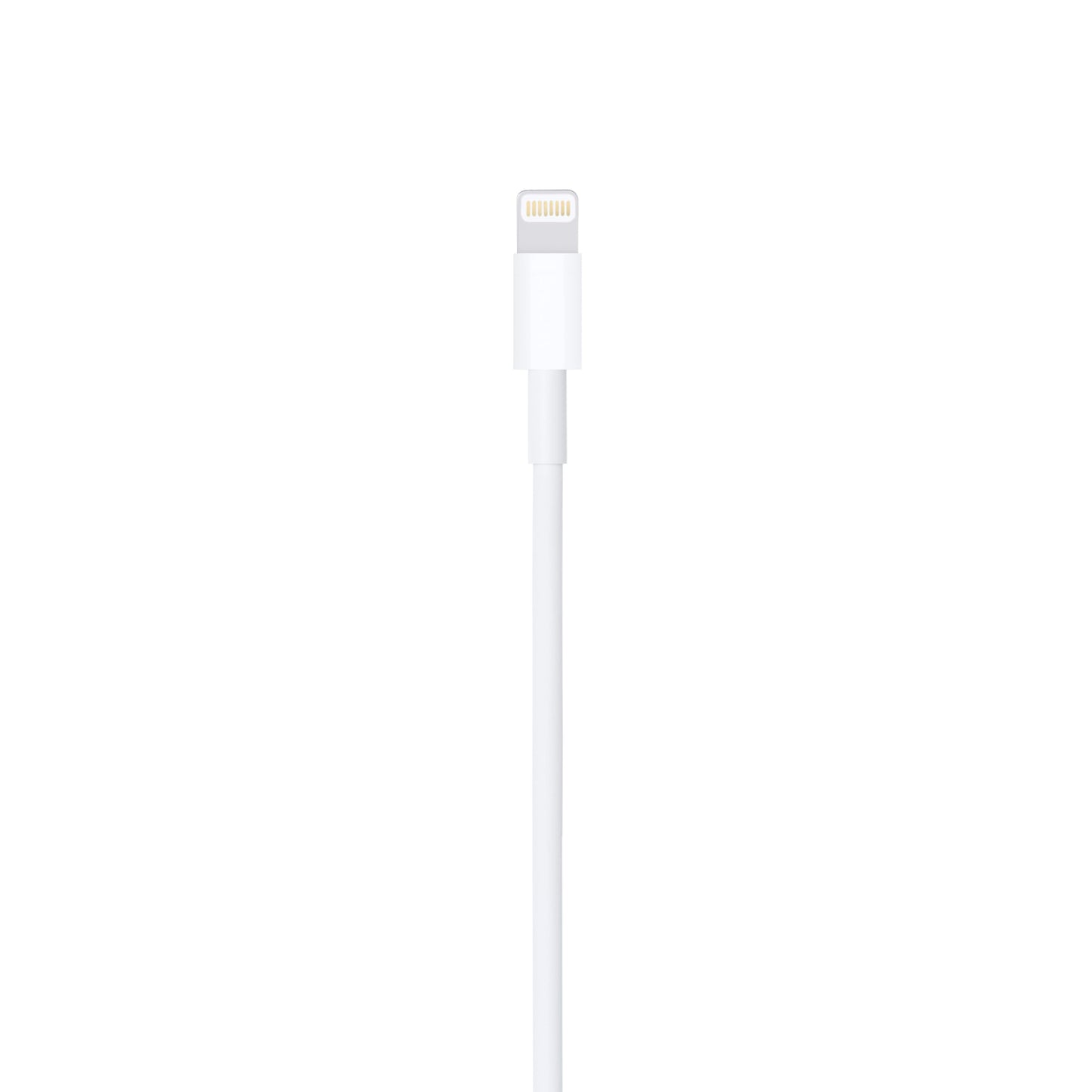 Apple Lightning to USB Cable (1 m)