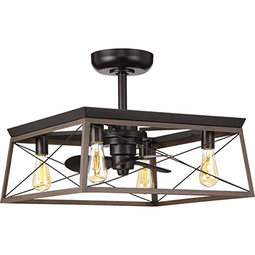 Progress Lighting Briarwood 22" Indoor Outdoor Ceiling Fan, Antique Bronze