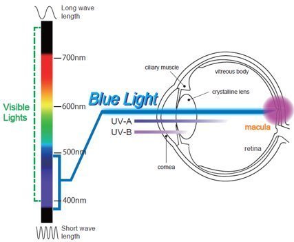 EYES PC Blue Light Screen Protector Panel Universal for 19 inch Diagonal (5:4 Aspect) LED Monitor (W 16.14 X H 13.19). Blue Light Blocking up to 100%