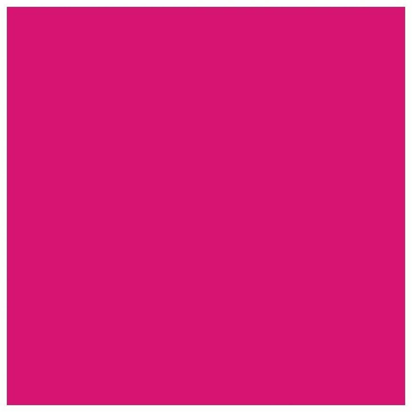 Epson Original Ink Cartridge Light Magenta T5806