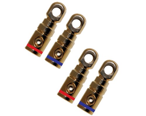Absolute GRT100-4 2 Pair Gold Power Ring Terminal