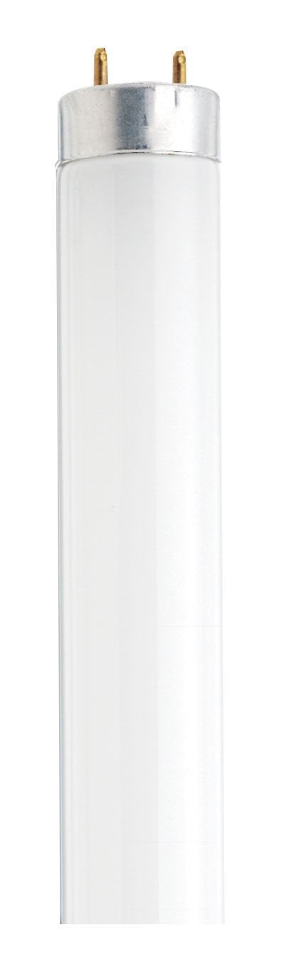 LEDVANCE 15W 18" T8 Linear Fluorescent Lamp, 4200K, 825 Lm, Non-Dimmable, Cool White - 1 Pack (21619)