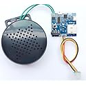 PIR Motion Sensor Activated Audio Player for POP Displays/Point of Sale/Statues/Artwork