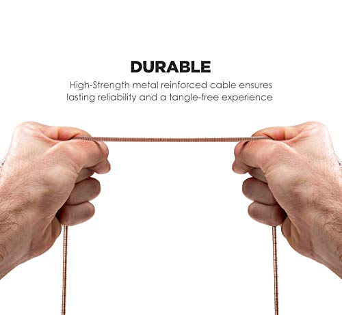 GALVANOX (2 Pack) Pet Proof iPhone Charger - Braided Metal Lightning to USB-C Charging Cables [Apple MFi Certified] Ultra Durable ChewProof Cord (4…