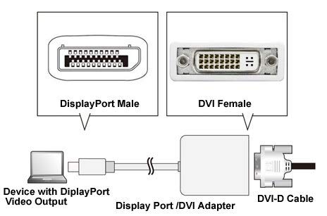 SF Cable Display Port Male to DVI Female Adapter
