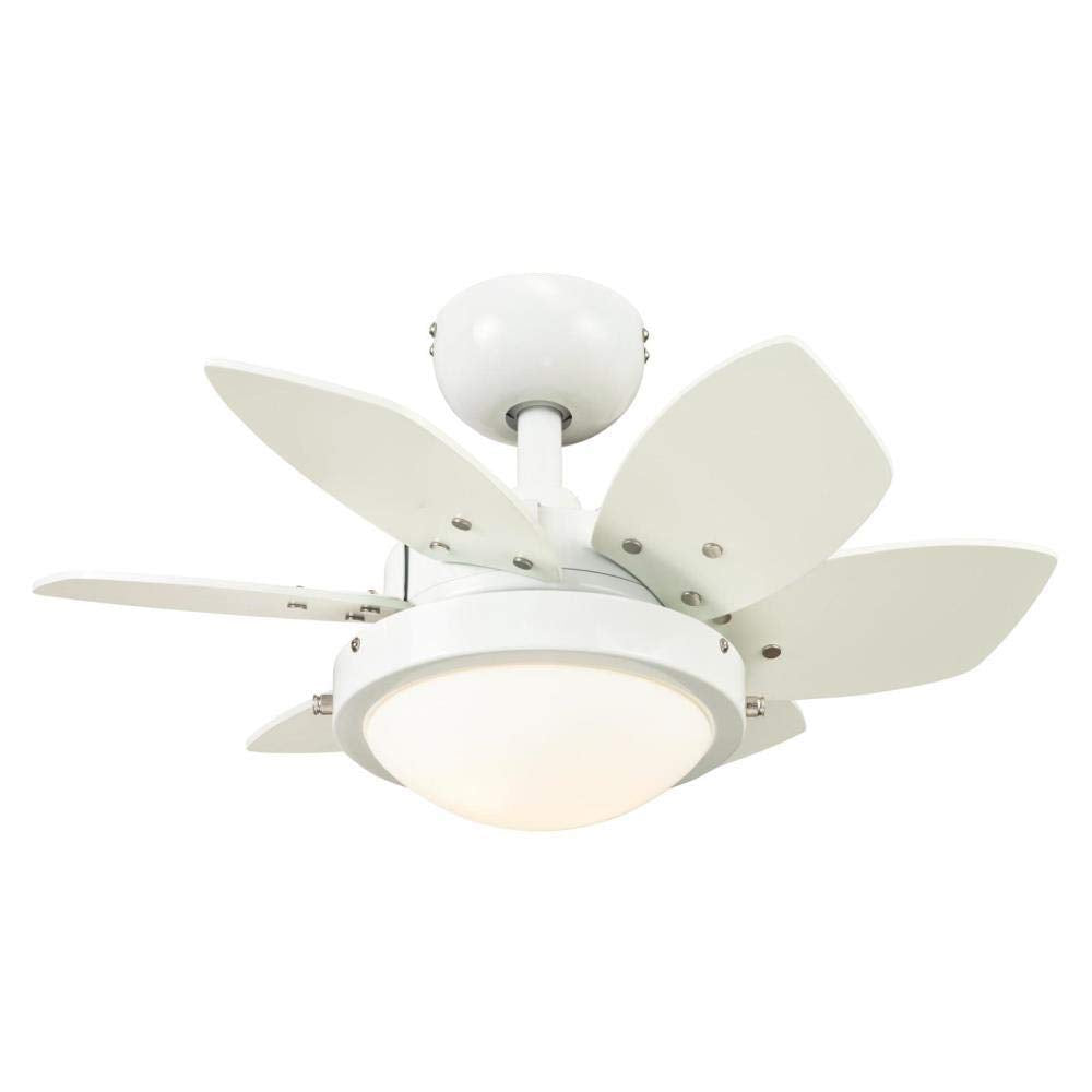 Ciata Small Ceiling Fan With Light, 24 Inch Quince Indoor Ceiling Fan in White Finish with Dimmable LED Light Fixture in Opal Frosted Glass