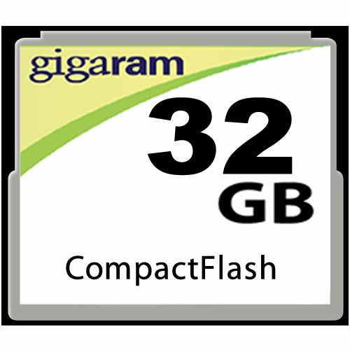 Standard 1GB 2GB 4GB 8GB 16GB 32GB CF 80x Compact Flash Memory Card (32GB)