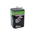 Interstate Batteries 6 Volt Battery, HD Lantern Battery (DRY1403)