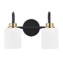 ZHUOER Modern Matte Black and Gold Bathroom Vanity Light Fixtures 2 Lights Milky Glass Wall Sconce Light Modern Vanity Lights Over Mirror(Exclude E26