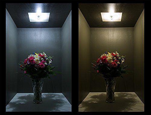 CBconcept UL-Listed, G8 LED Light Bulb (Standard 37mm Length), 5-Pack, 3 Watt, 310 Lumen, Not Dimmable, Daylight 5000K, 360° Beam Angle, 35W
