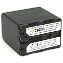 Wasabi Power Battery for Sony NP-QM91D