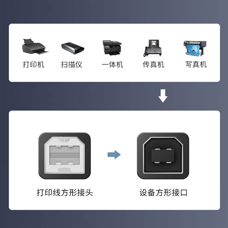 cablecc Dual USB 2.0 Male to Standard B Male Y Cable 80cm for Printer & Scanner & External Hard Disk Drive
