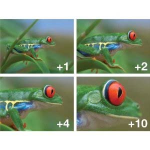 UltraPro 52mm Digital High-Resolution 4-pc Close-Up Macro Filter Set (+1, +2, +4, and +10 Diopters) with Deluxe Filter Carry Case for Select Canon