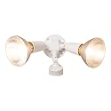 EATON Lighting MS34W 110Deg WHT Floodlight