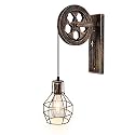 KUNGHEYFATCHOY 1 Light Fixture Industrial Mid Century Retro Iron Wall Lights Lift Pulley Wall Lamp Features The Matte Iron Cage Lamp Shade for Indoor