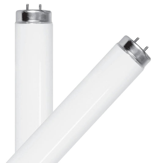 BULB FL T8 G13 48" WW32W