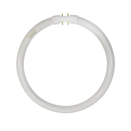 Norman Lamps TL5C22W/840 Cool-White 4000K - Watts: 22W, Type: T5 Circular Fluorescent, Color
