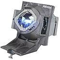PXOEH A+ Quality RLC-117 Replacement Projector Bulb Lamp for Viewsonic PG705HD PG705WU PX727-4K PX747-4K with Housing